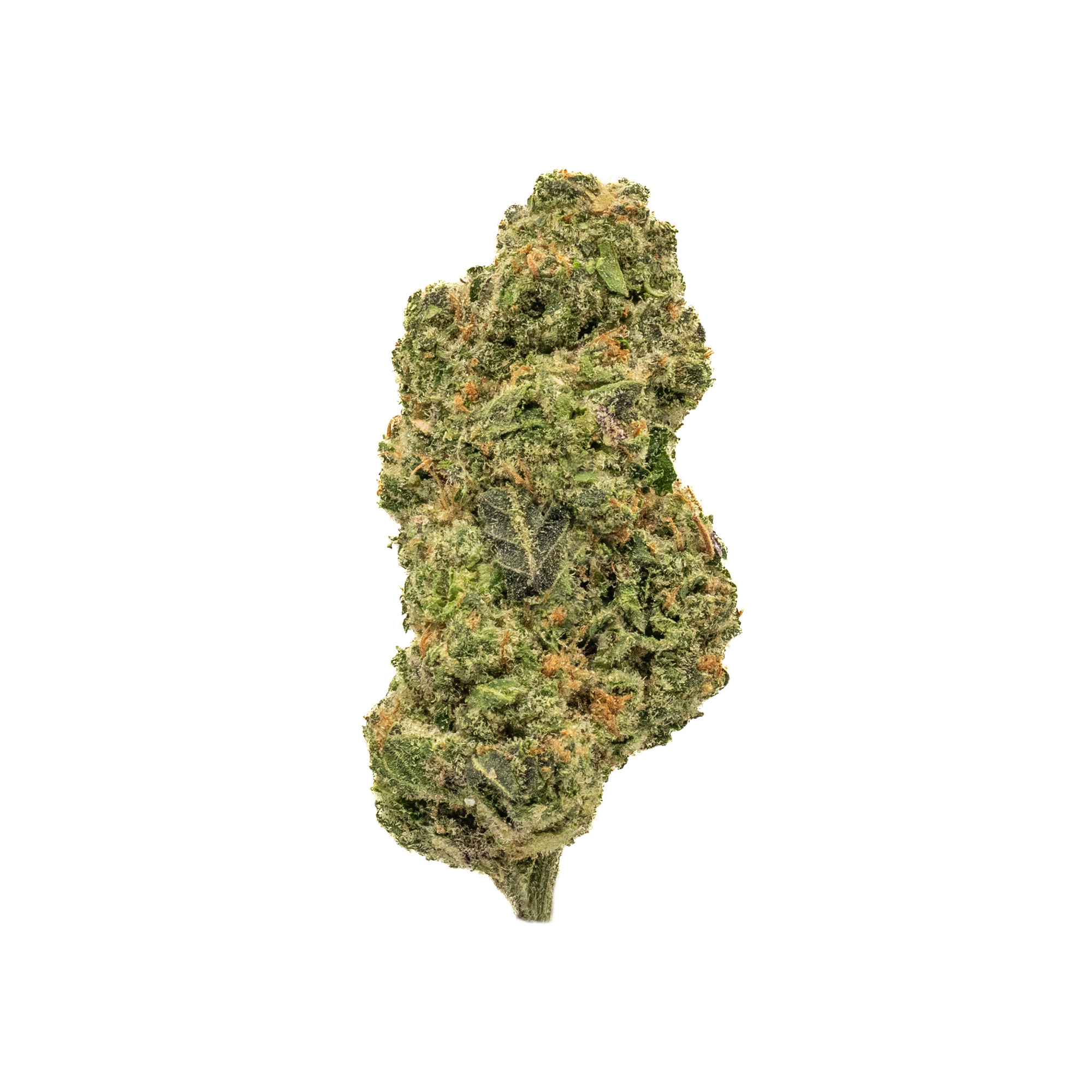 Donny Burger #2 THCA flower — High Hippy