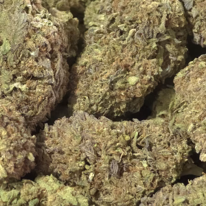 Donut Diesel THCa Flower Sativa