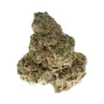 Governmint Oasis THCa Flower Smalls Hybrid