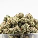 Jet Fuel Gelato Smalls THCa Hemp Flower