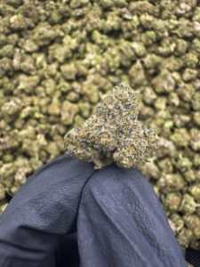 Pink Drink (Smalls) THCa Flower β 33.56% β Hybrid β PR