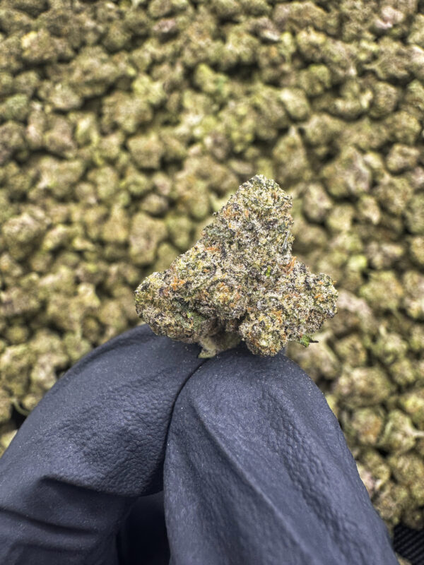 Pink Drink (Smalls) THCa Flower β 33.56% β Hybrid β PR