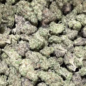Governmint Oasis THCa Flower Smalls Hybrid
