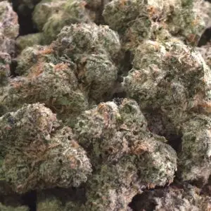 Tangie Cream (Smalls) THCa Flower Sativa