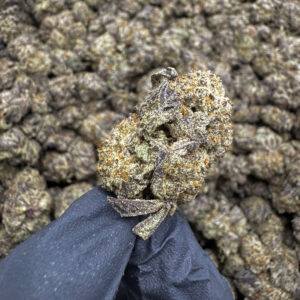 White Rhino THCa Flower – 35.84% – Indica – Private Reserve - Image 2