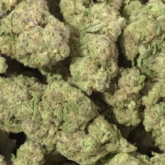 Birthday Cake THCa Flower – 25.73% – Indica – Exotic Light Dep
