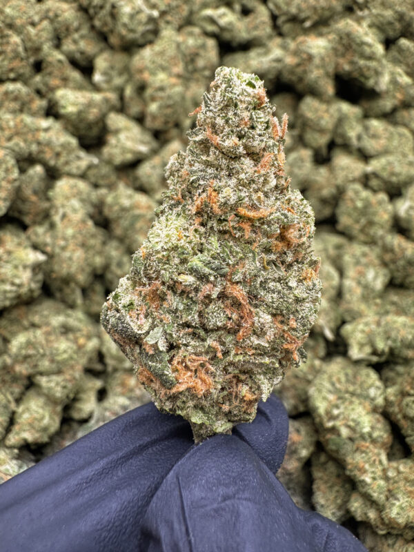 Blue Dream THCa Flower Sativa