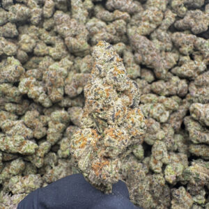 Cat Fished THCa Flower Sativa