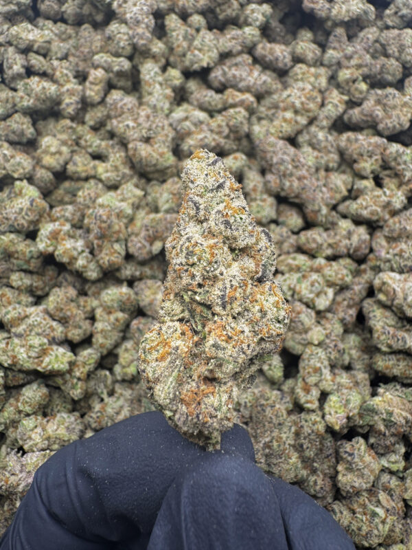 Cat Fished THCa Flower Sativa