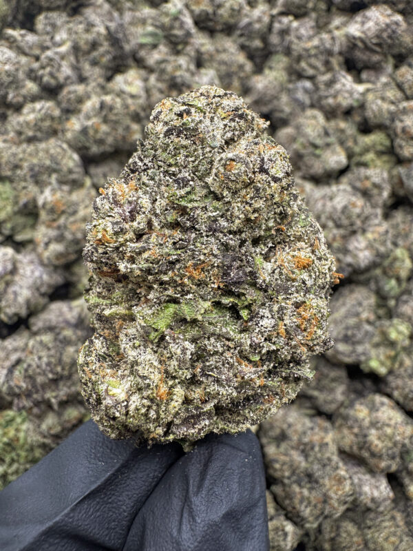 Gello THCa Flower Hybrid