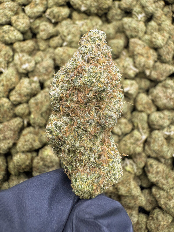 Ghost Train Haze THCa Flower Sativa