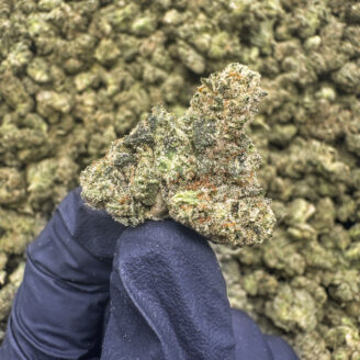 Gorilla Fett (S) - 34.76% THCa - PR