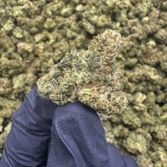 Gorilla Fett (S) - 34.76% THCa - PR