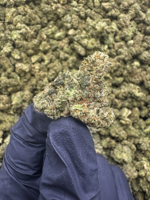 Gorilla Fett (S) - 34.76% THCa - PR