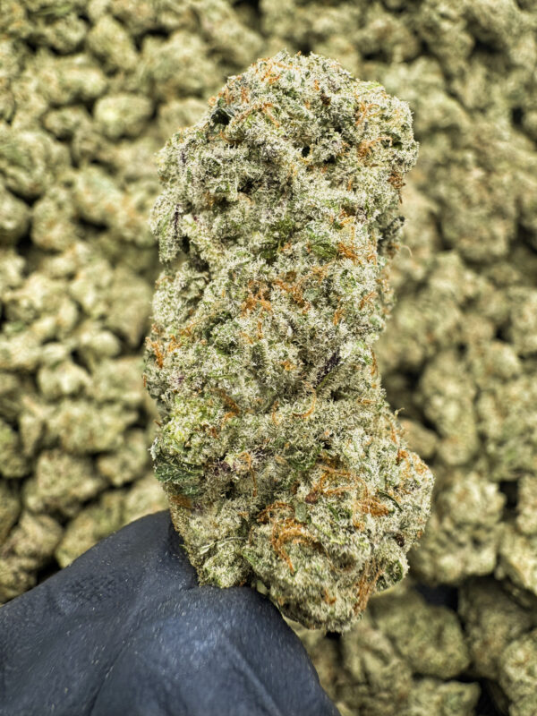 Incredible Hulk THCa Flower Sativa
