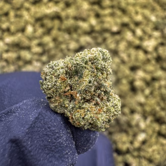 Lemon Lightning (Smalls) THCa Flower – 35.05% – Sativa – PR