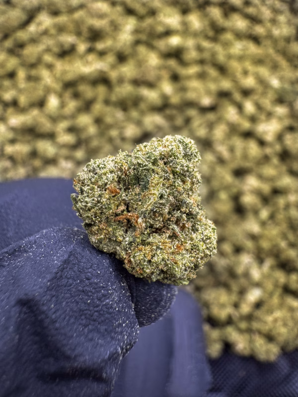 Lemon Lightning (Smalls) THCa Flower – 35.05% – Sativa – PR