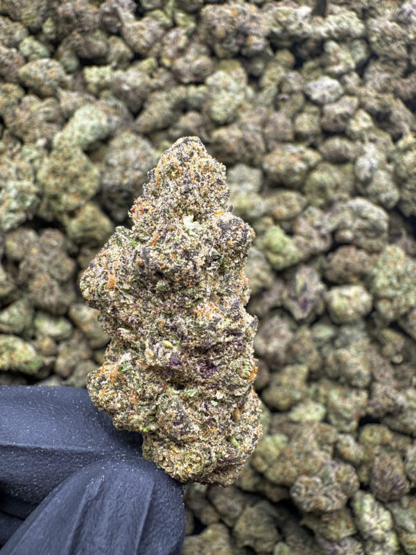 Northern Lights Light Dep THCa hemp flower