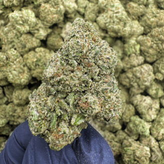 Ocean Grown Exotic THCa Hemp Flower