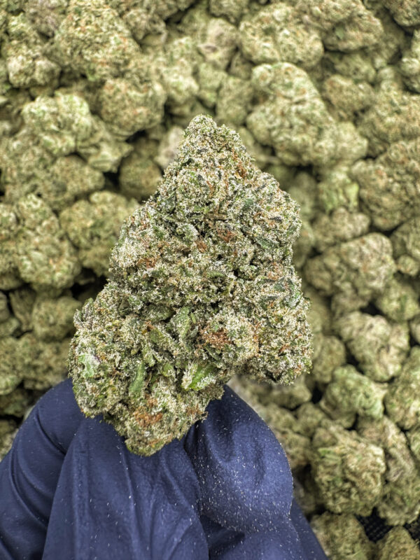 Ocean Grown Exotic THCa Hemp Flower