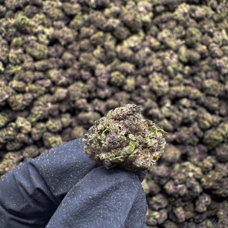 Purple Runtz (Smalls) THCa Flower – 33.98% – Hybrid – PR