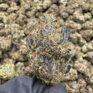 Purple Sunset THCa Flower Indica