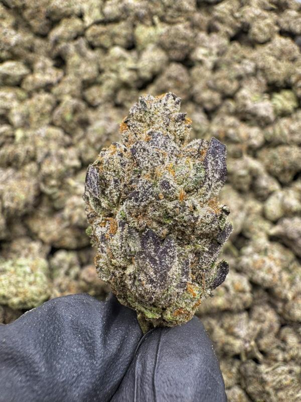 Purple Sunset THCa Flower Indica