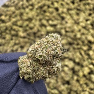 Sour Bananas (Smalls) THCa Flower – 36.11% – Sativa – PR