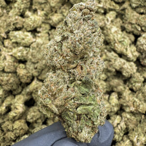 Super Silver Haze THCa Flower Sativa