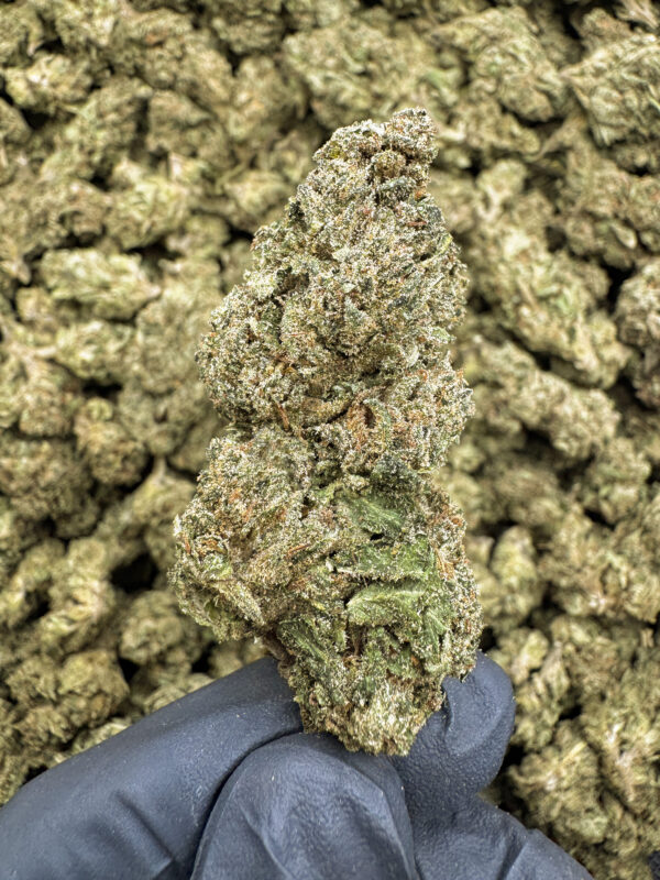 Super Silver Haze THCa Flower Sativa