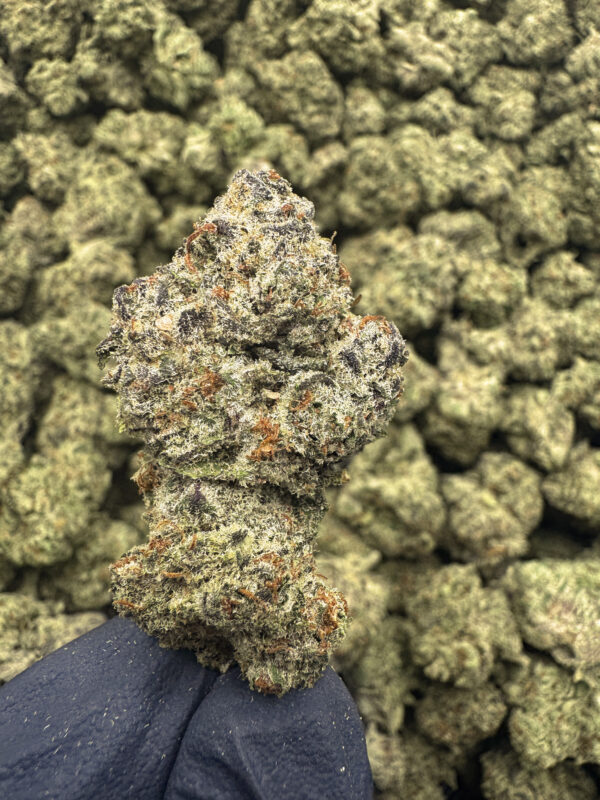 Walter White THCa Flower Sativa