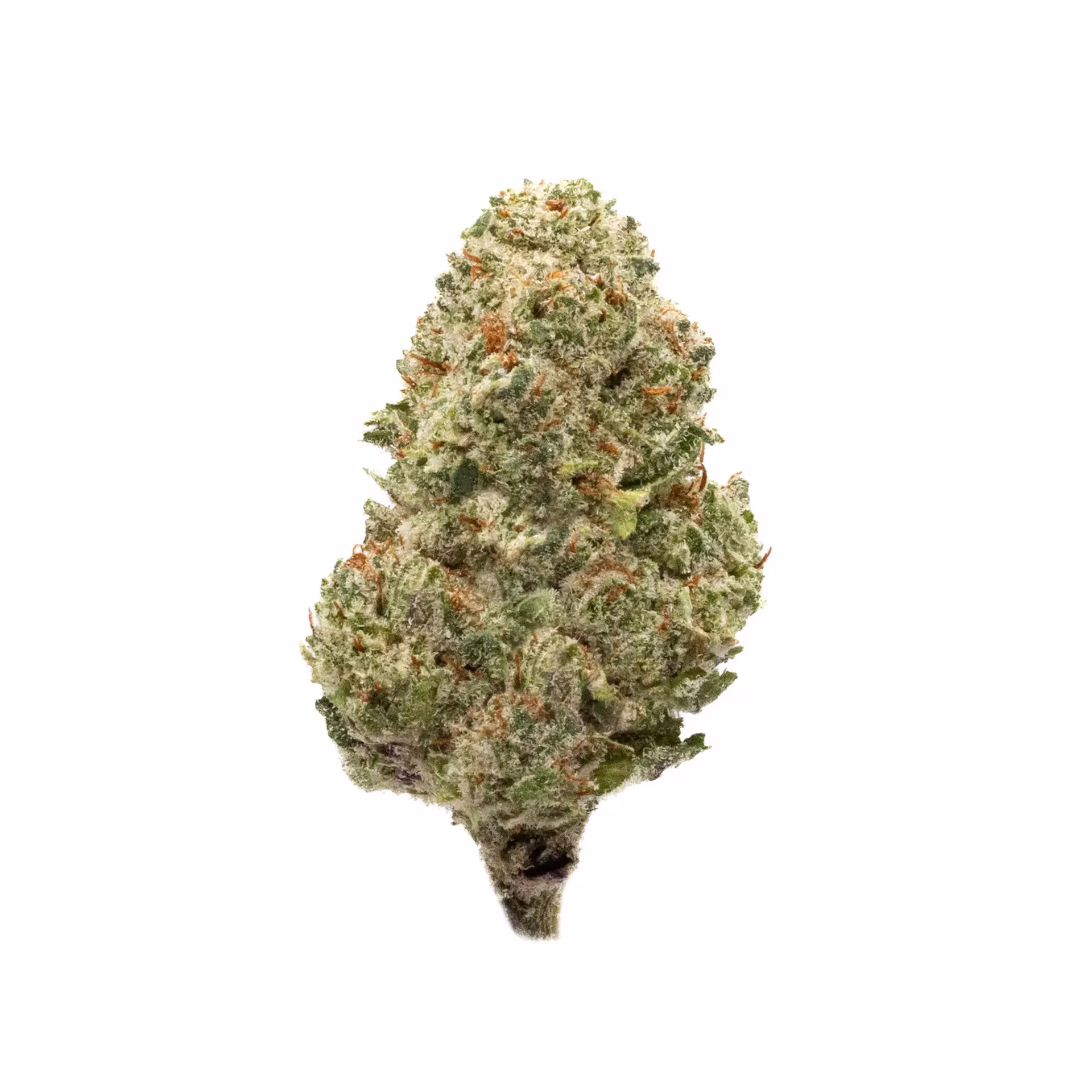 White Widow – 38.66% THCa – PR – Eighth (3.5g)