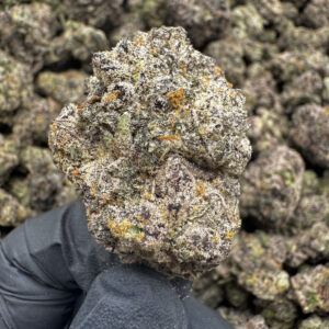 Blizzard Berry - 36.41% THCa- PR - Image 2