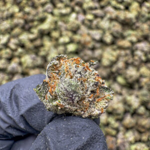 Bruiseberry Punch (S) - 34.38% THCa - PR - Image 2