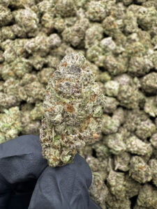 Cherry Zaza THCa Flower Indica