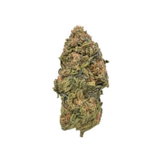 Dragon Fruit THCa Flower Hybrid