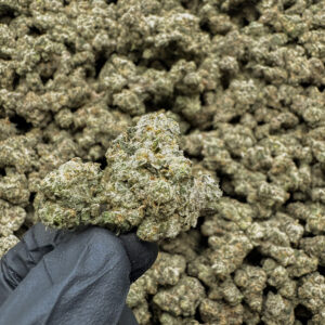 Girl Scout Cookies Smalls THCa Flower – 35.03% – Indica – PR - Image 2