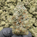 Green Crack THCa Flower – 40.05% – Sativa – Private Reserve - Image 2