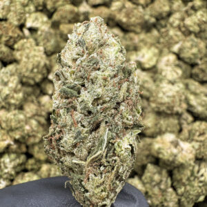 Headband THCa Flower – 26.55% – Indica – Light Dep - Image 2
