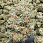 Jacks Cleaner - 42.92% THCa - PR - Image 2