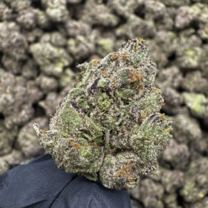 Laughing Buddha - 35.31% THCa - PR - Image 2