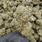 Lucid Dreams THCa Flower Sativa