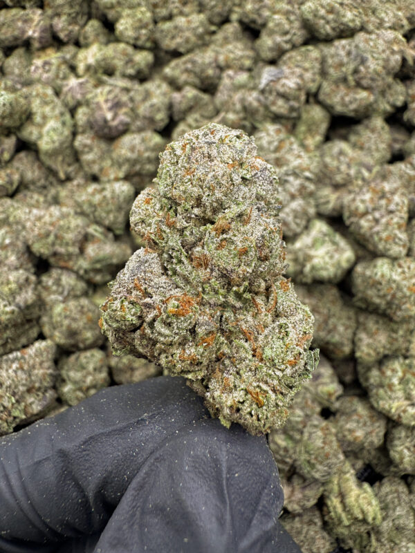 Lucid Dreams THCa Flower Sativa