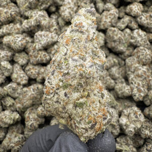 Opium - 37.32% THCa - PR - Image 2