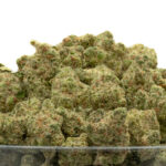 Peach Crescendo (Smalls) THCa Flower Indica