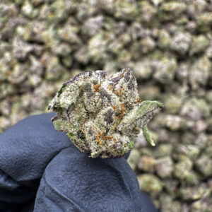 Red Runtz (S) THCa Flower – 38.34% – Hybrid – Super Exotic - Image 2