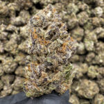 Red Runtz THCa Flower Hybrid