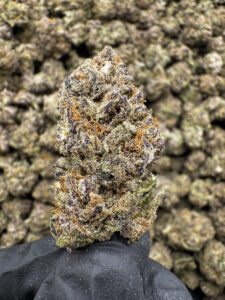 Red Runtz THCa Flower Hybrid