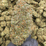 Sour Bananas THCa Flower – 36.11% – Sativa – Private Reserve - Image 2