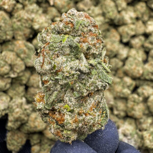 Sour Slushie THCa Flower Sativa
